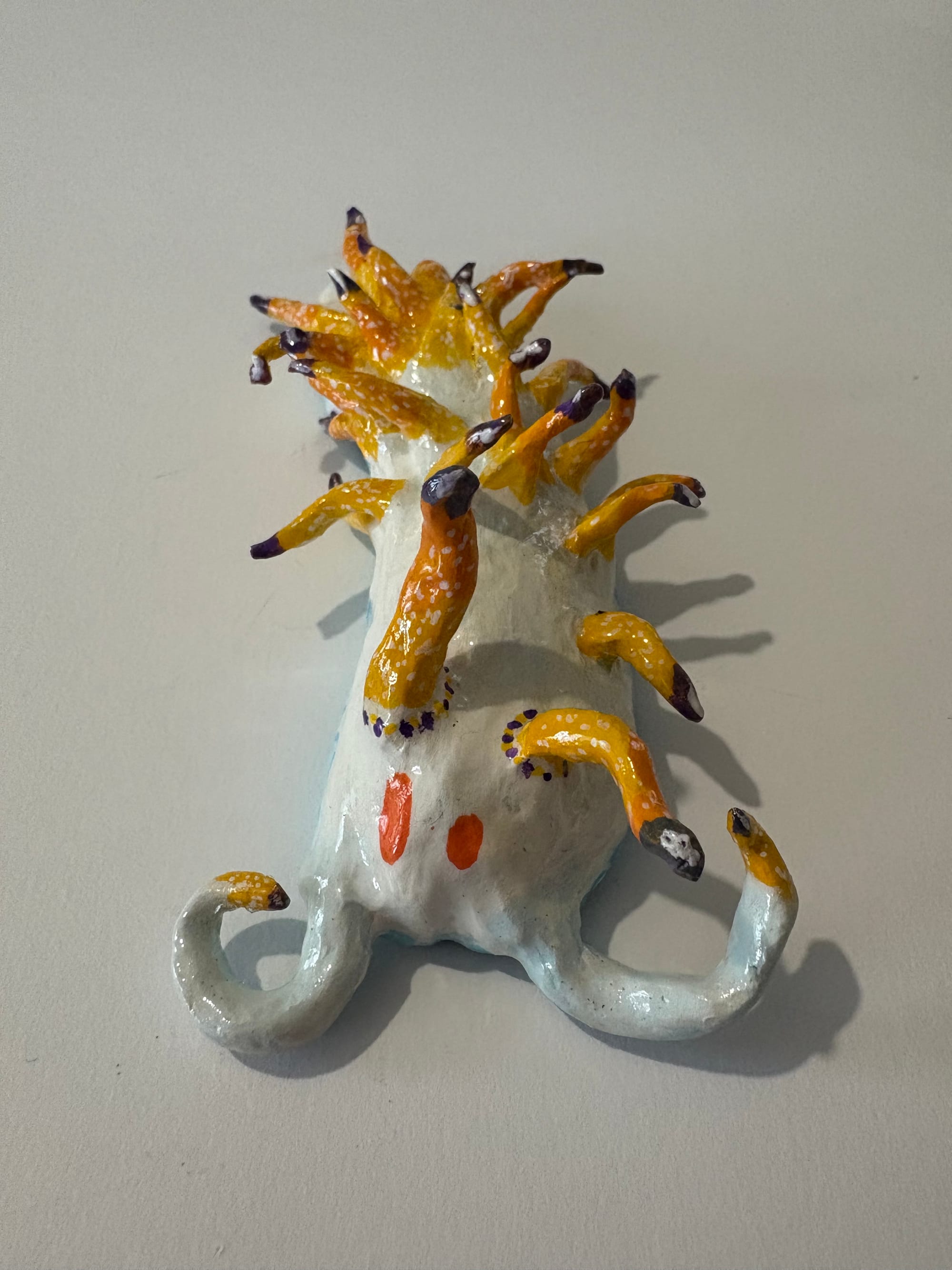 Nudibranche de type éolidien