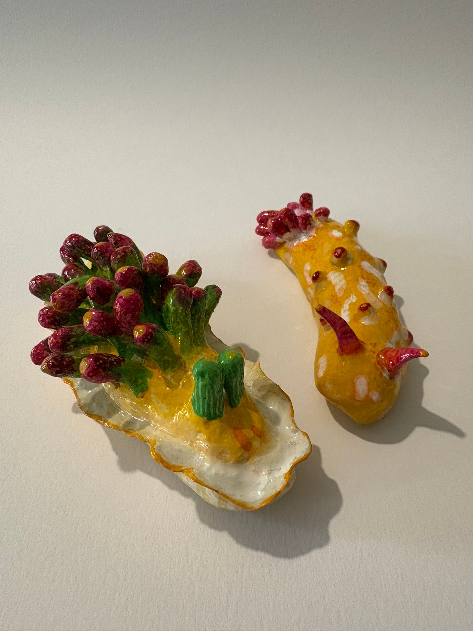 Duo de nudibranches Antiopelle