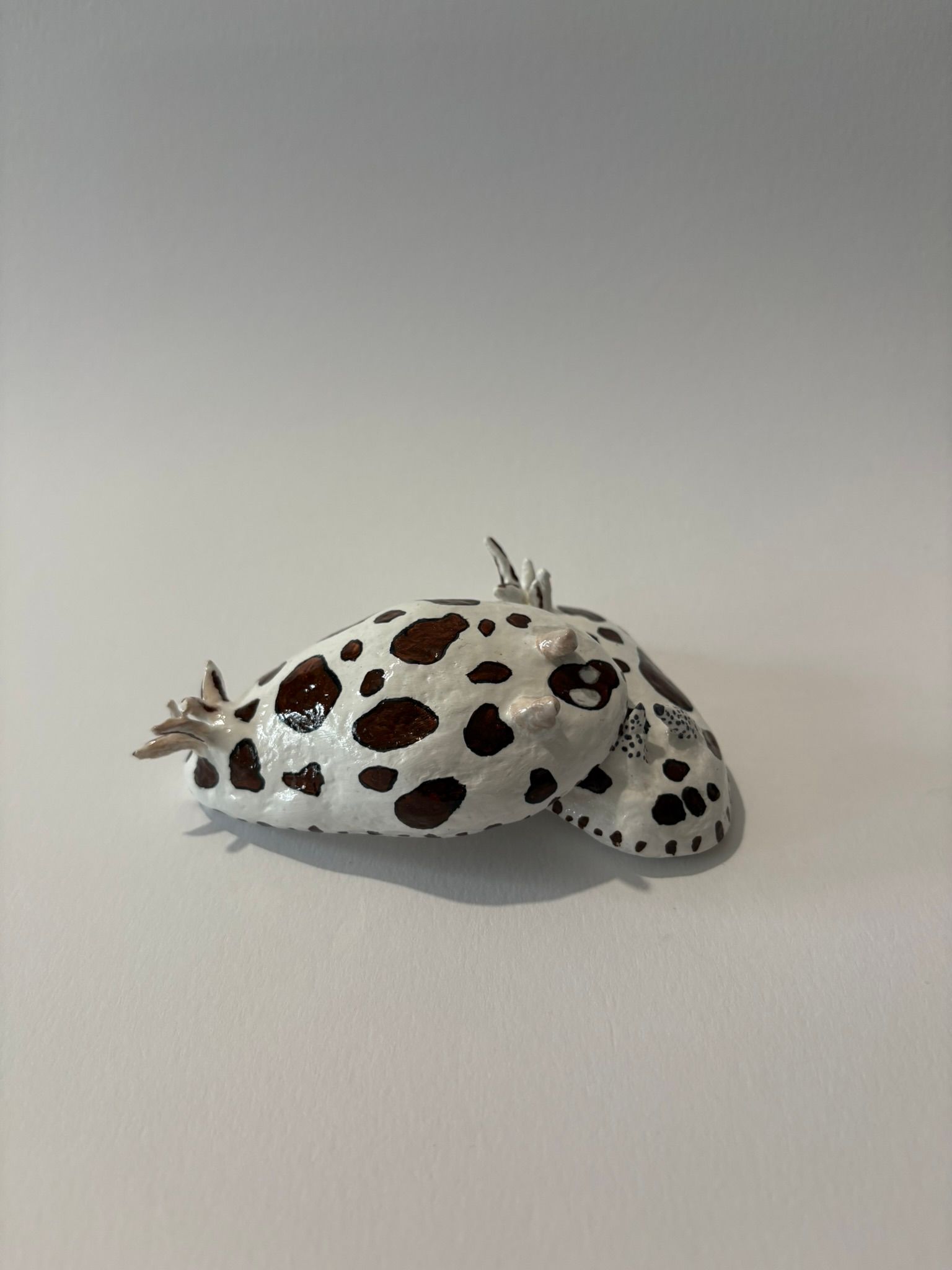 Duo de doris dalmatien