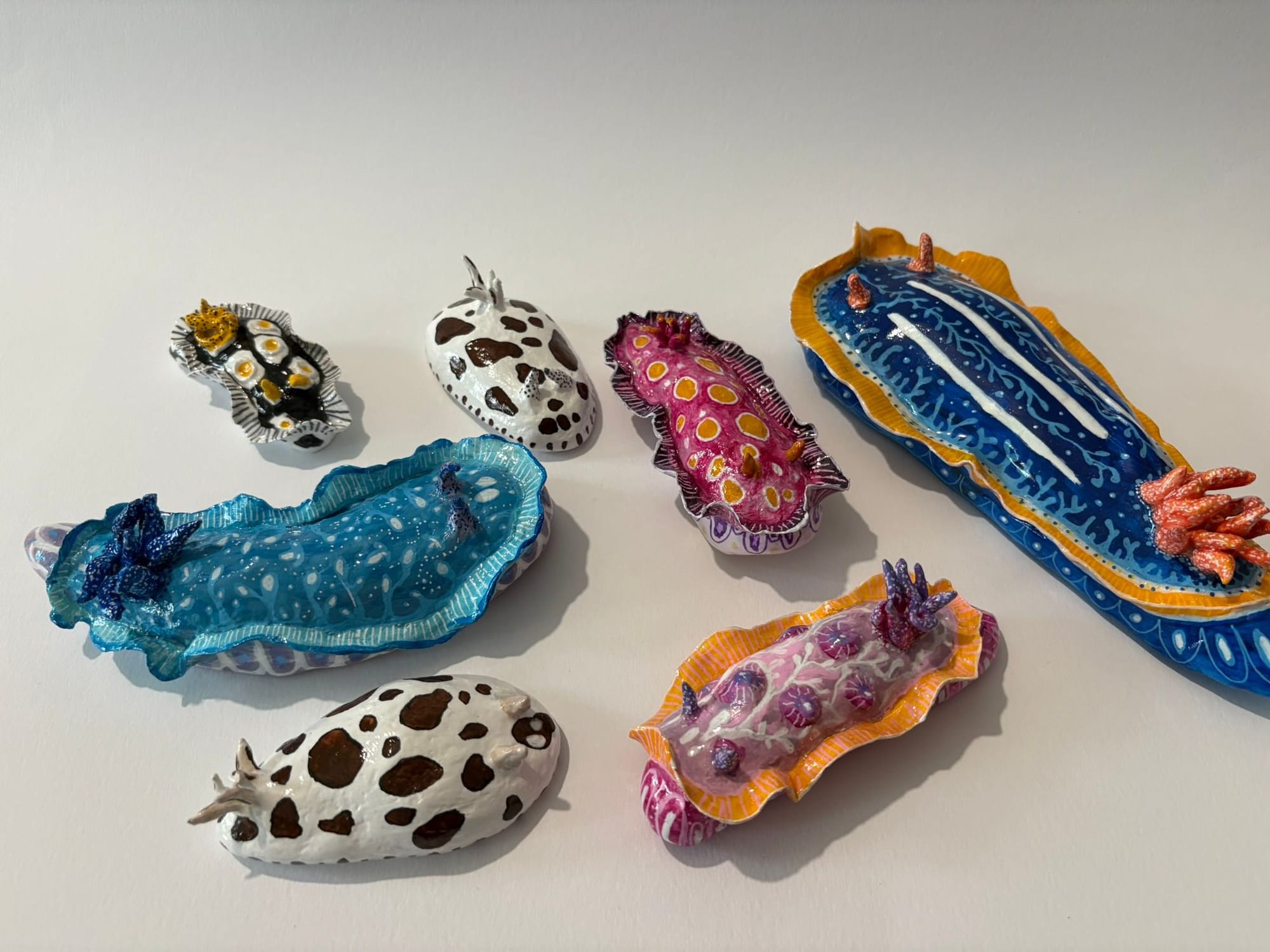 Collection de nudibranches