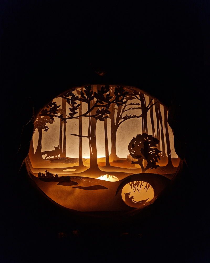 A la lueur de la nuit