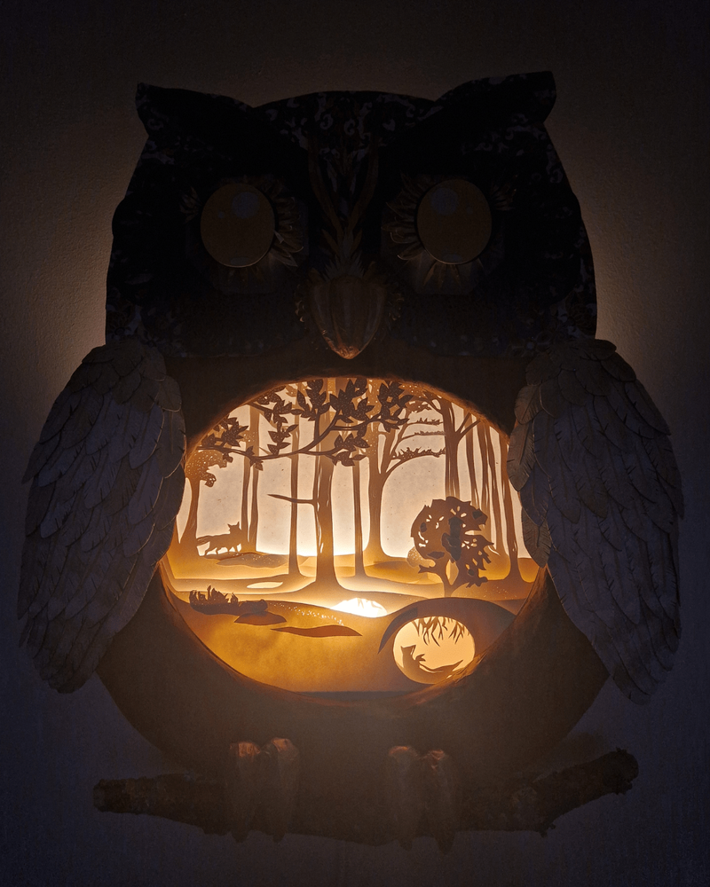 A la lueur de la nuit