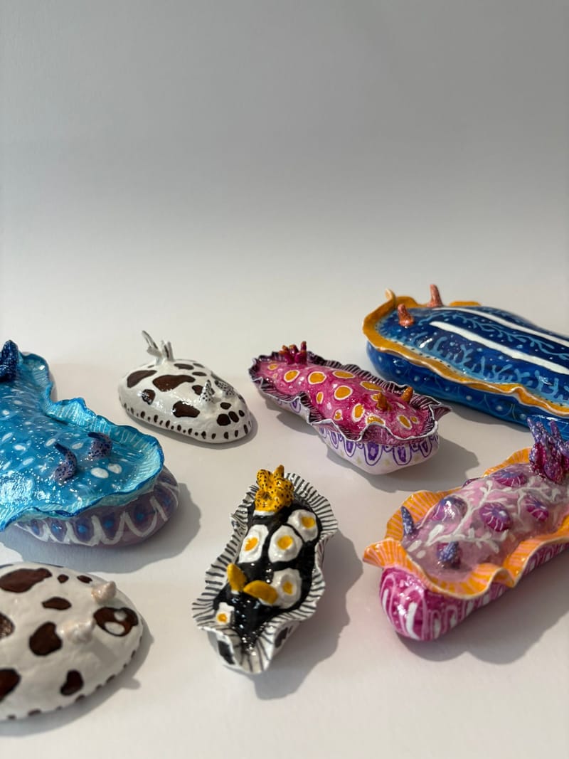 Installation mur nudibranche