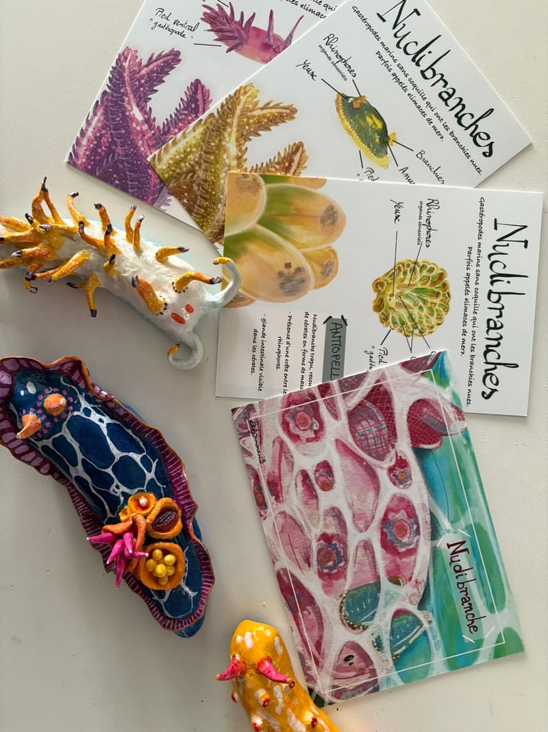 Installation mur nudibranche