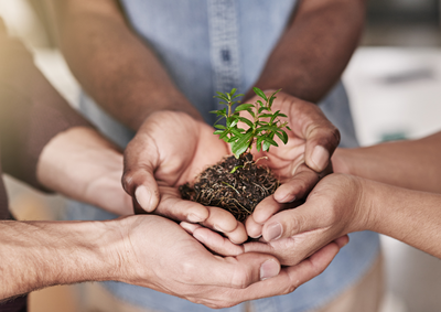 A CHI SI RIVOLGE LA CONSULENZA? image