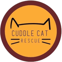 Cuddle Cat Rescue