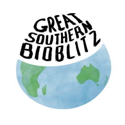 Great Southern BioBlitz