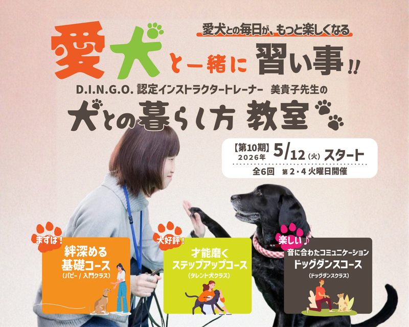 【お申込み受付中！】愛犬と一緒に習い事♪ 第10期『犬との暮らし方教室』2026年5月スタート！