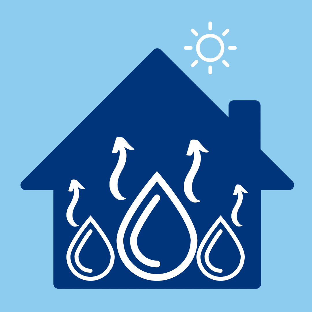 Assèchement de confort ou assèchement technique : quelles différences?