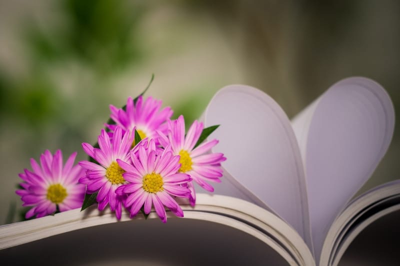 Книжкова Магія