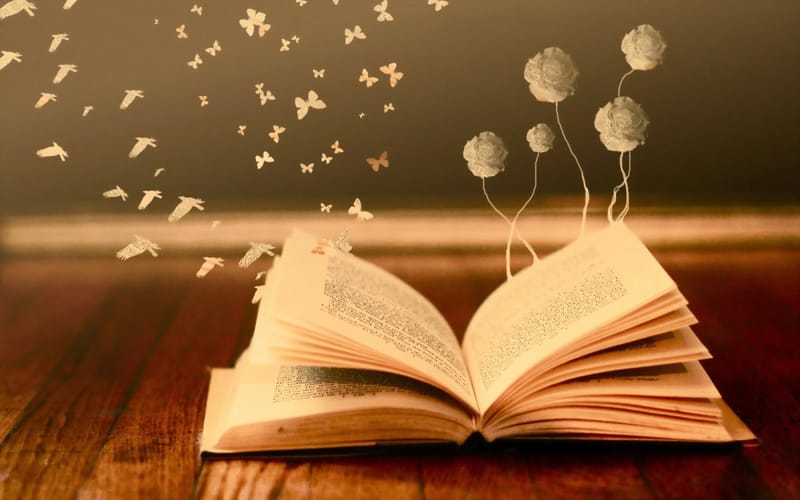 📚 Книга — це вікно у безкрайні світи! 🌍