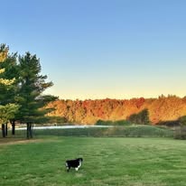 In partnership with Pawliday Inn Pet Resort LLC