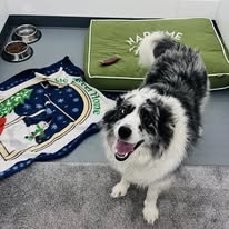 In partnership with Pawliday Inn Pet Resort LLC