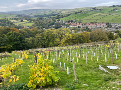 Time to see if there is a future