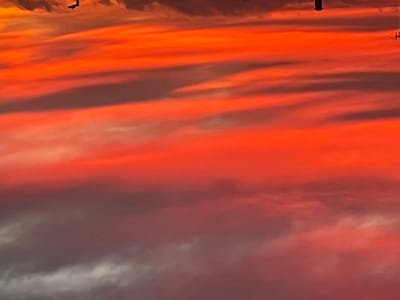 The journey now ends this side of Birmingham…