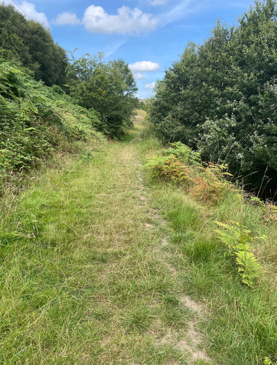 Life’s Long Walk
