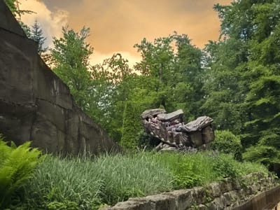 Veranstaltungen 2026 image