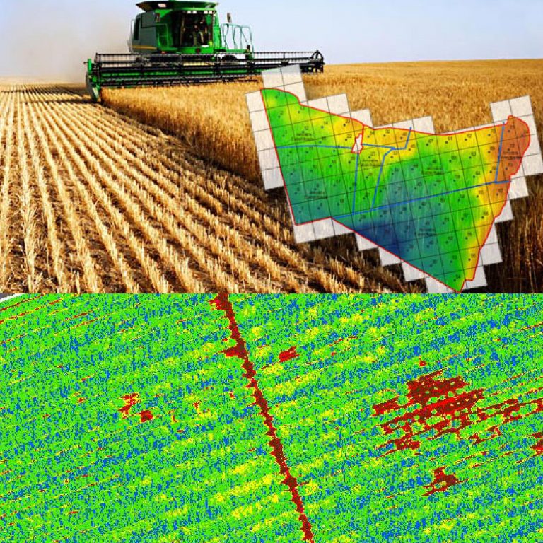 🧩 Consultoría en agricultura de precisión