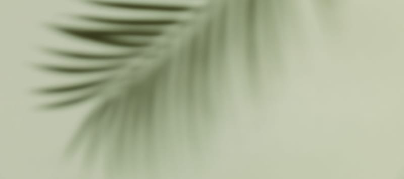 Somatic Experiencing (SE)