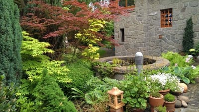 Csobogó (bejárati kert)