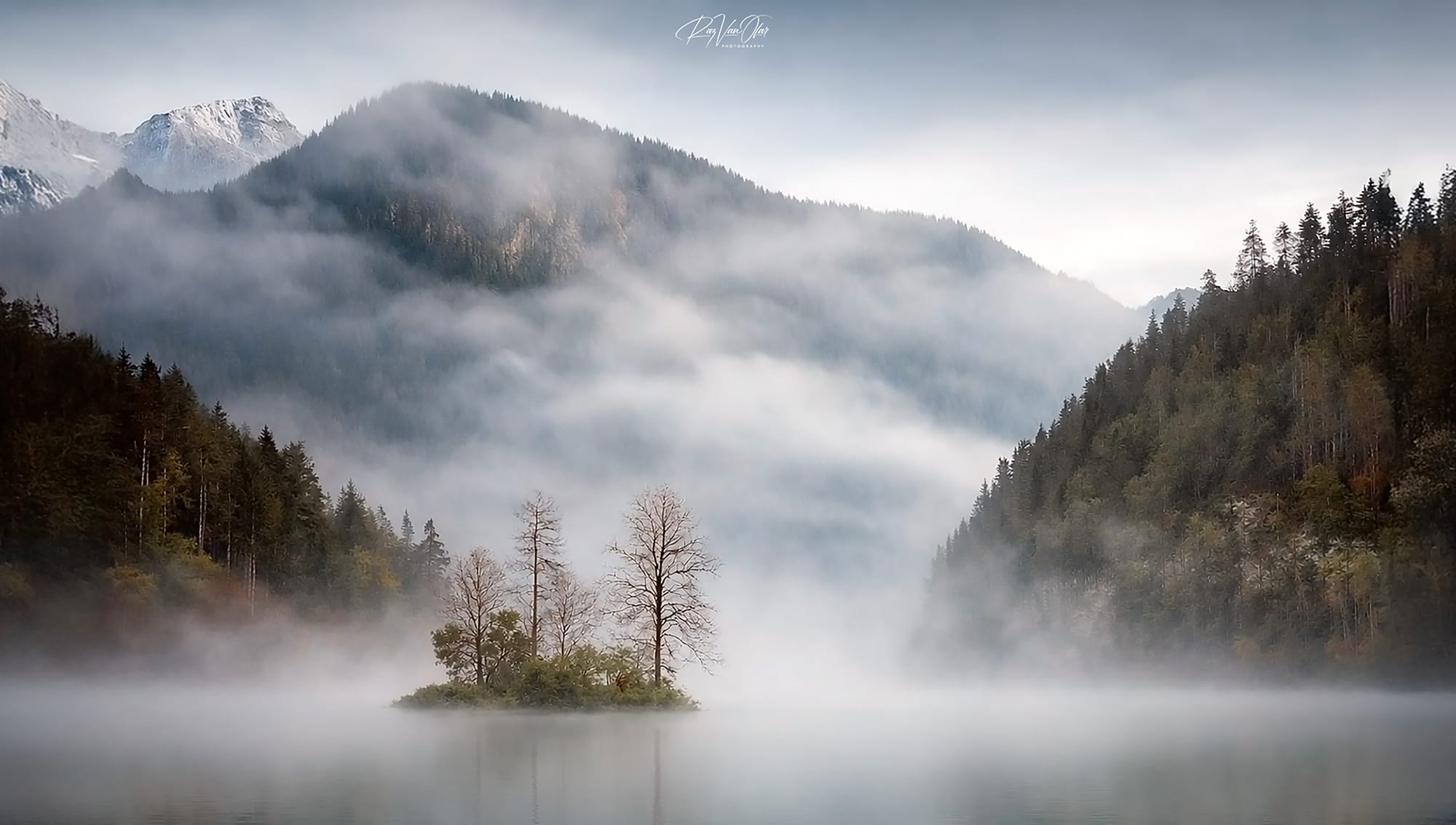 Austria tomnatecă!