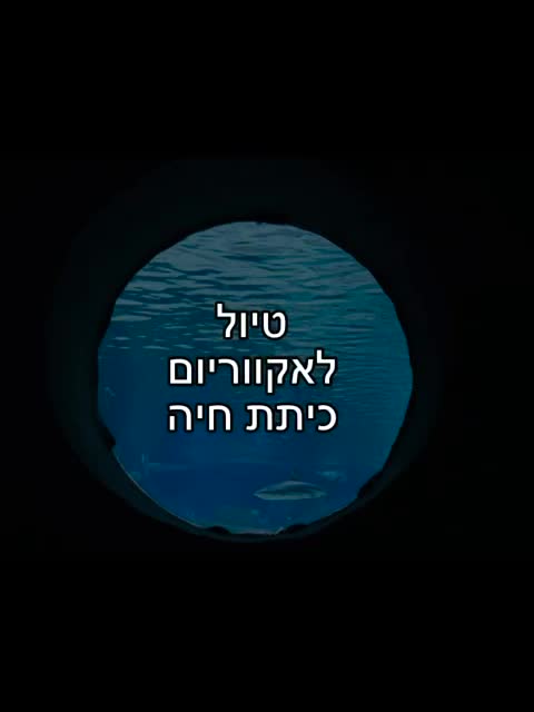 טיול לאקווריום