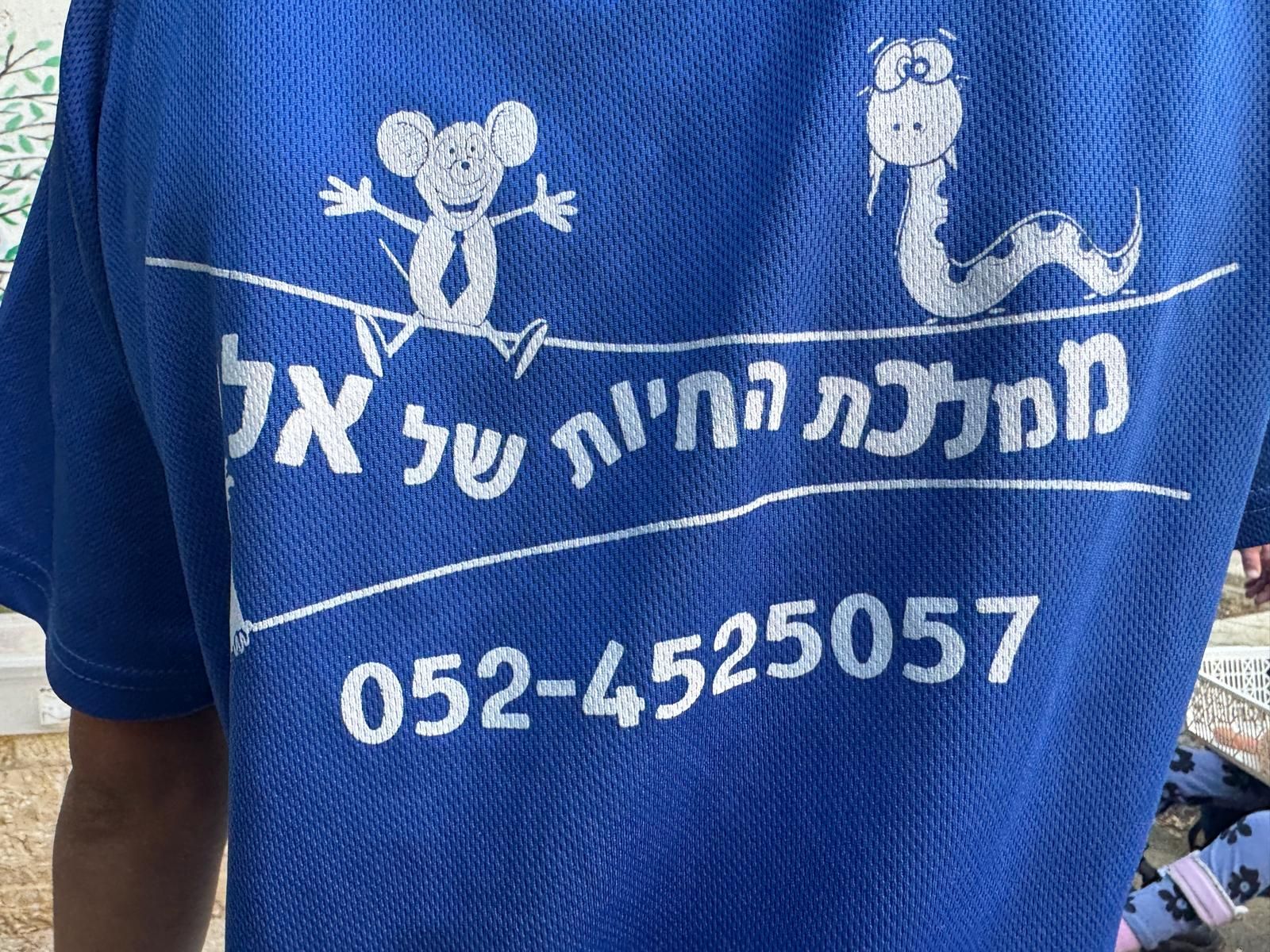 ממלכת החיות של אלי