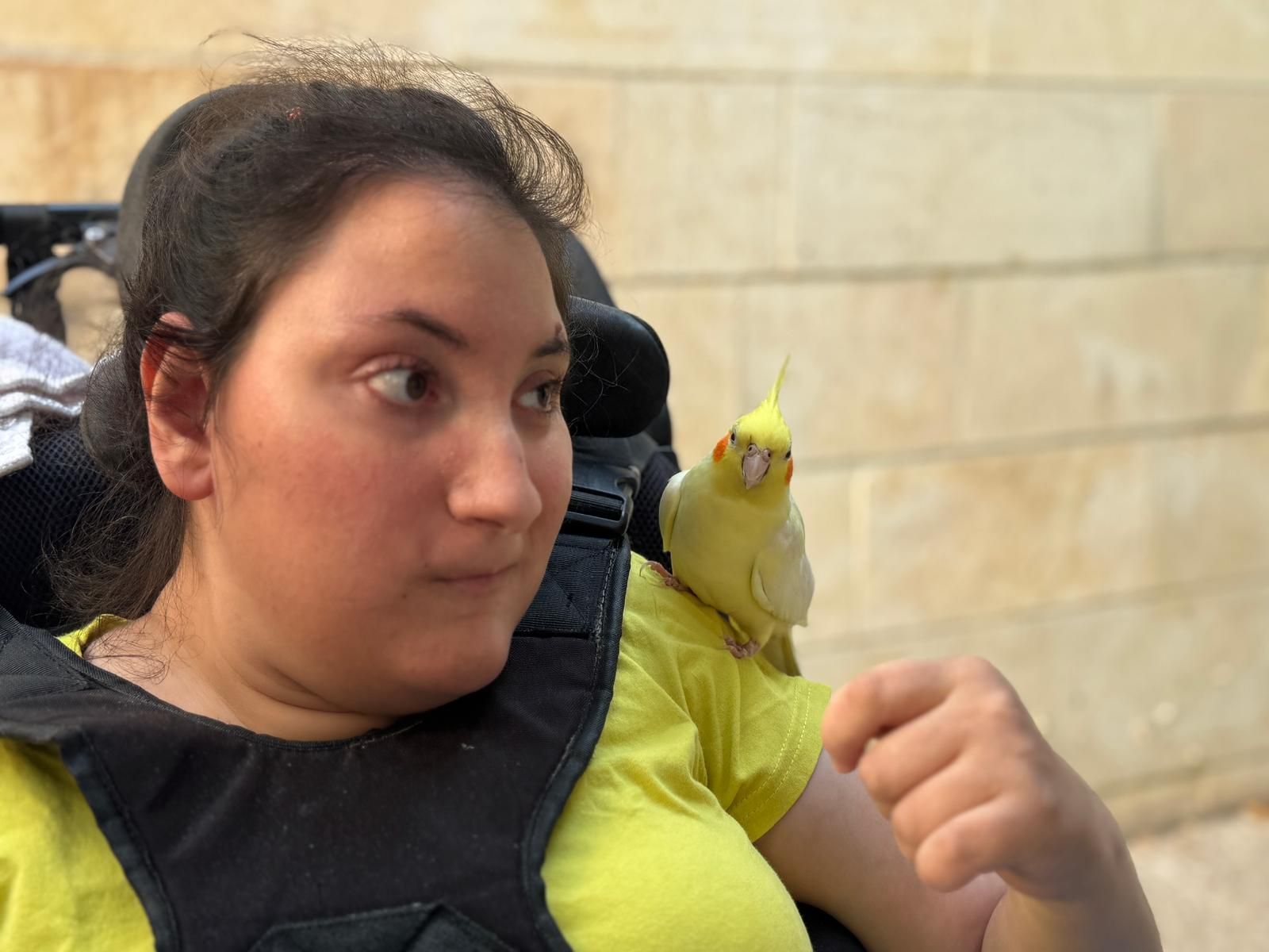 ממלכת החיות של אלי