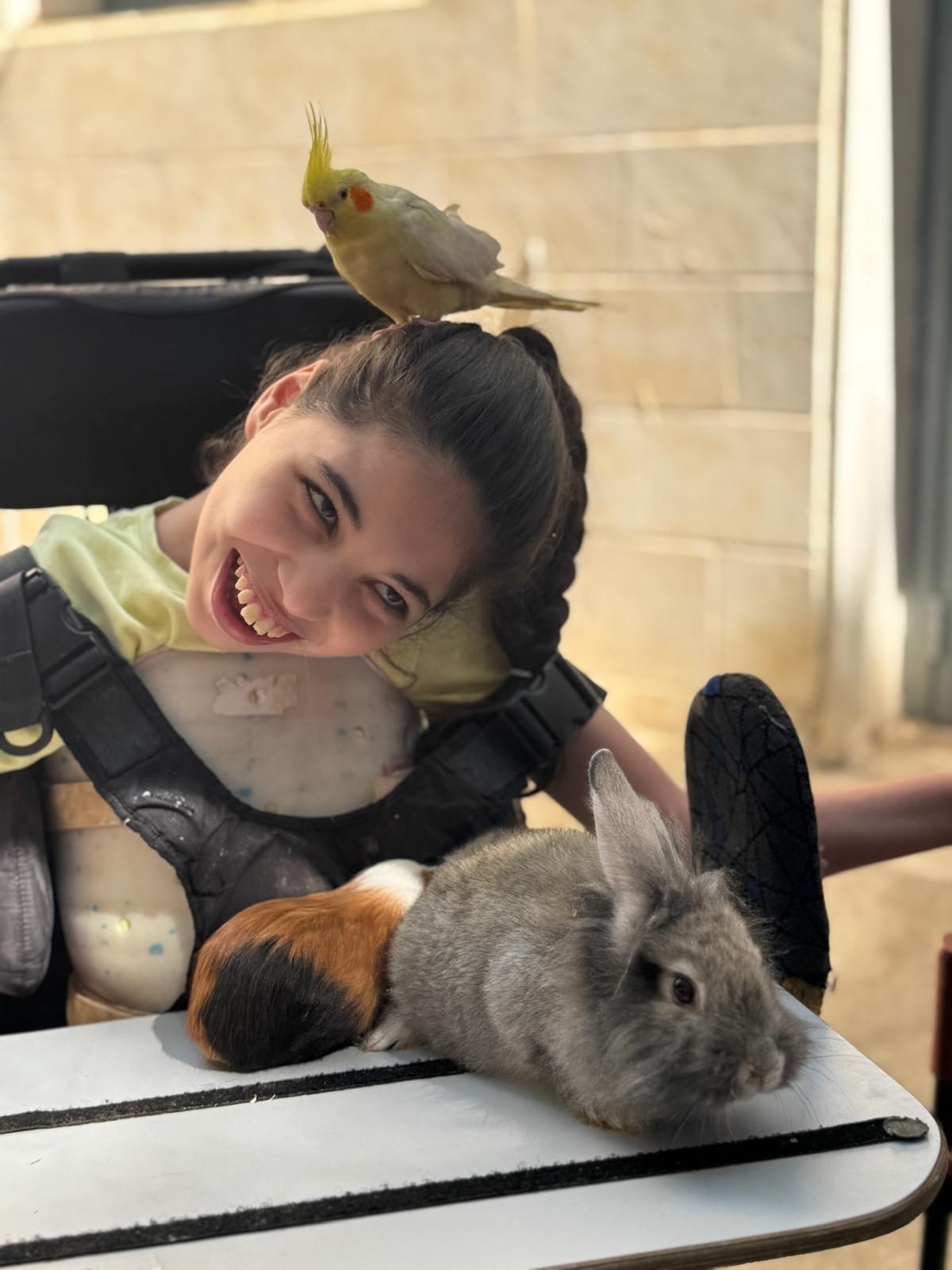 ממלכת החיות של אלי