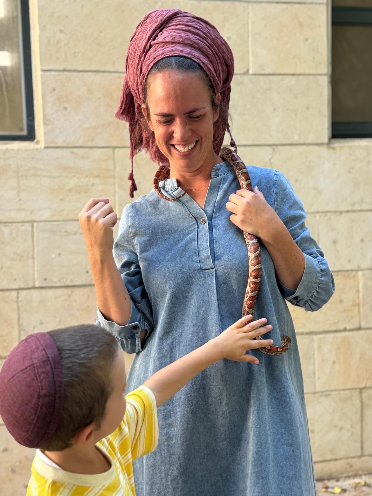 ממלכת החיות של אלי