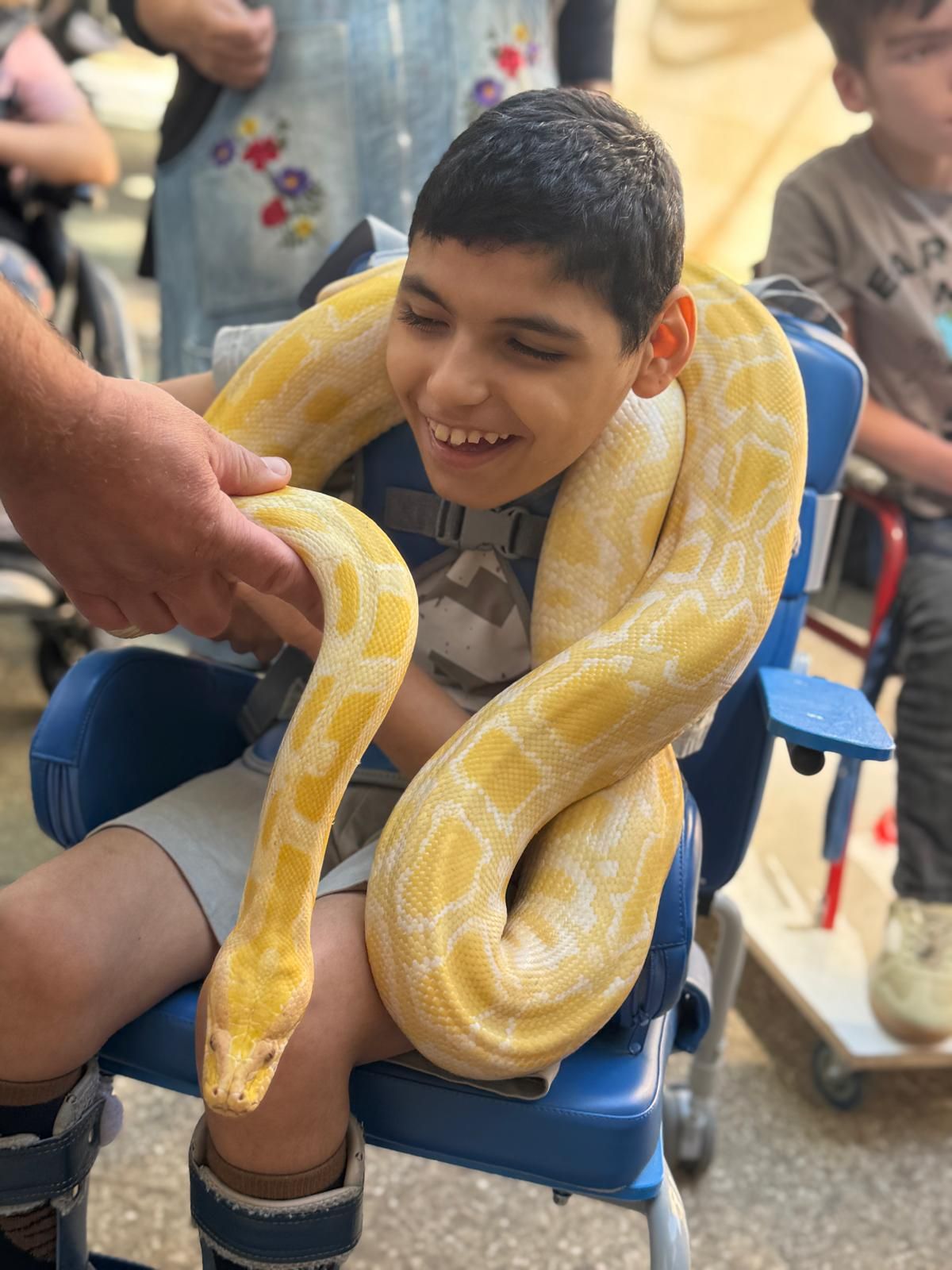 ממלכת החיות של אלי