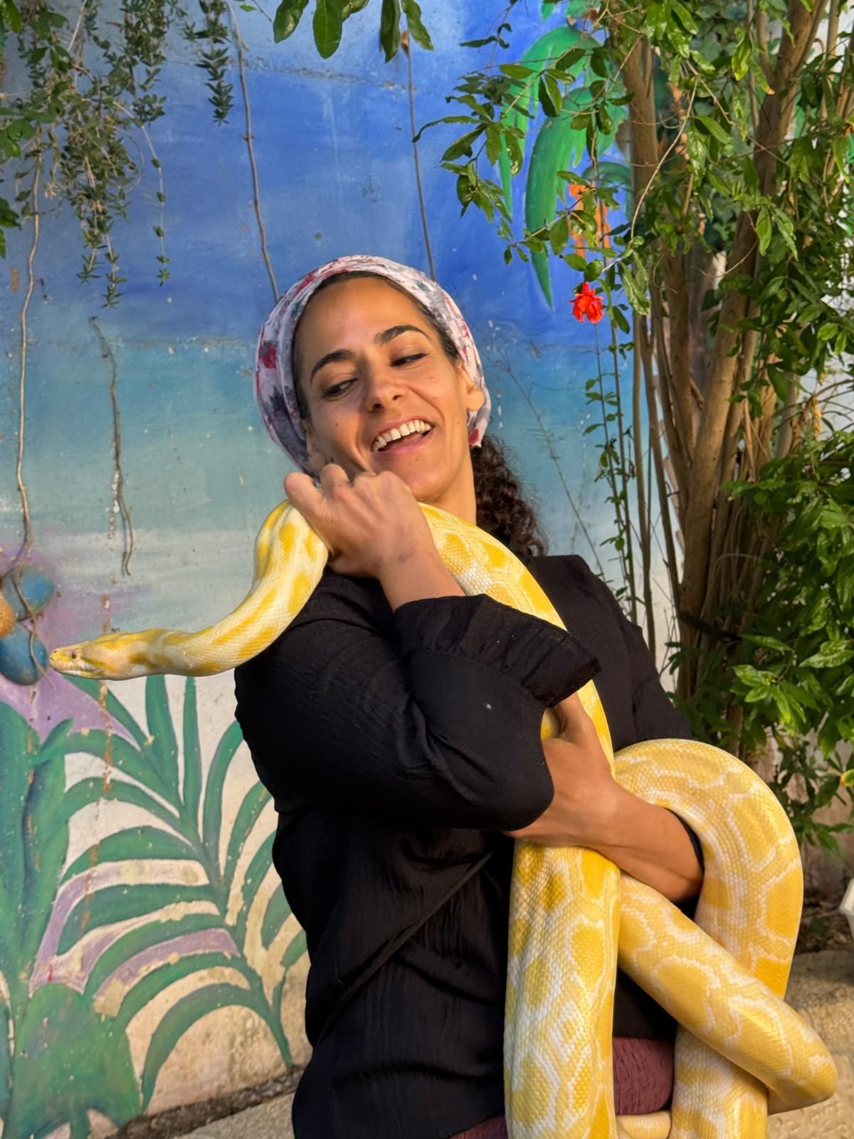 ממלכת החיות של אלי