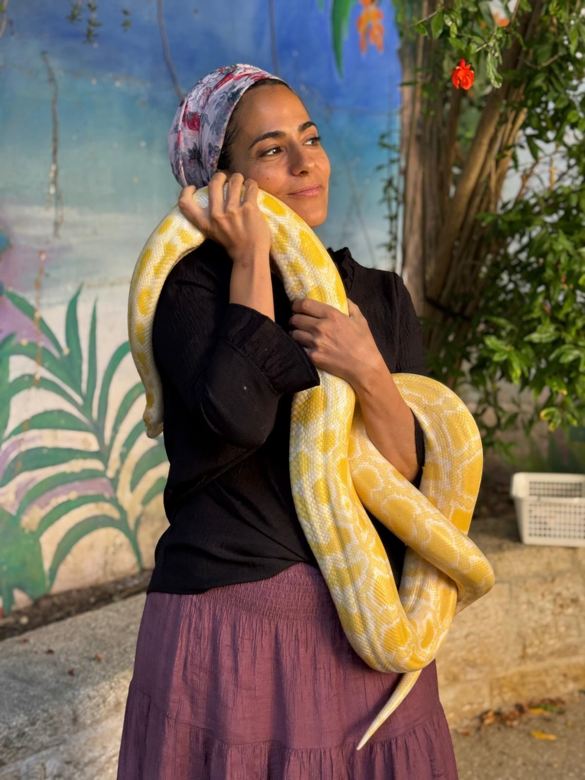 ממלכת החיות של אלי