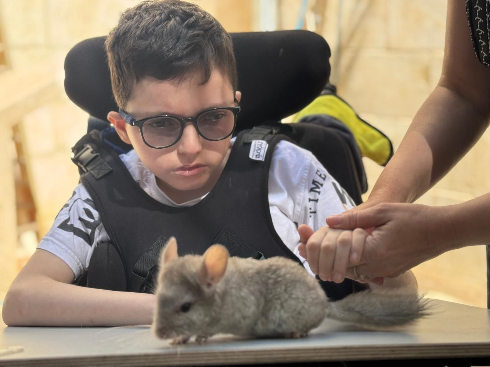 ממלכת החיות של אלי