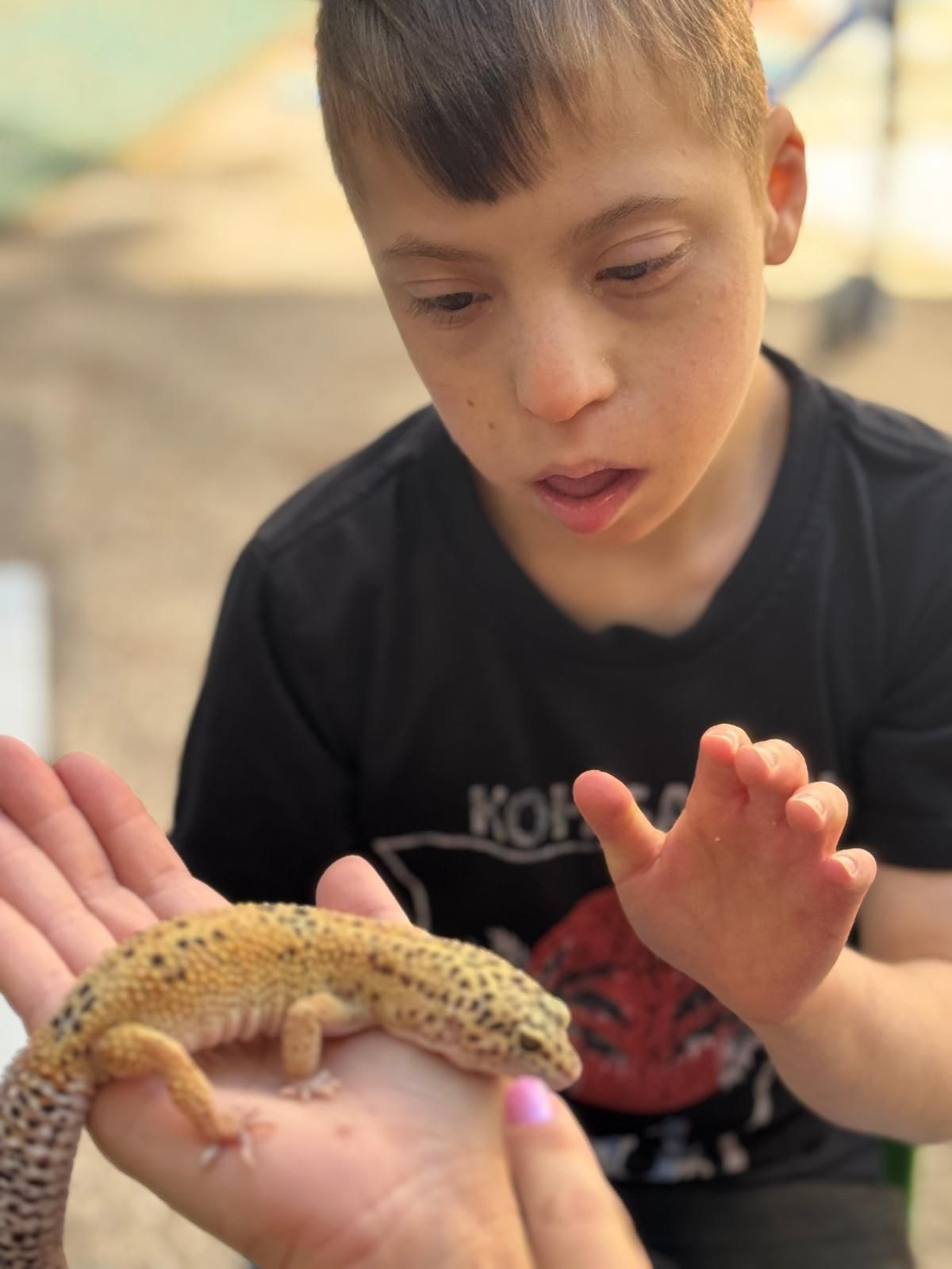 ממלכת החיות של אלי