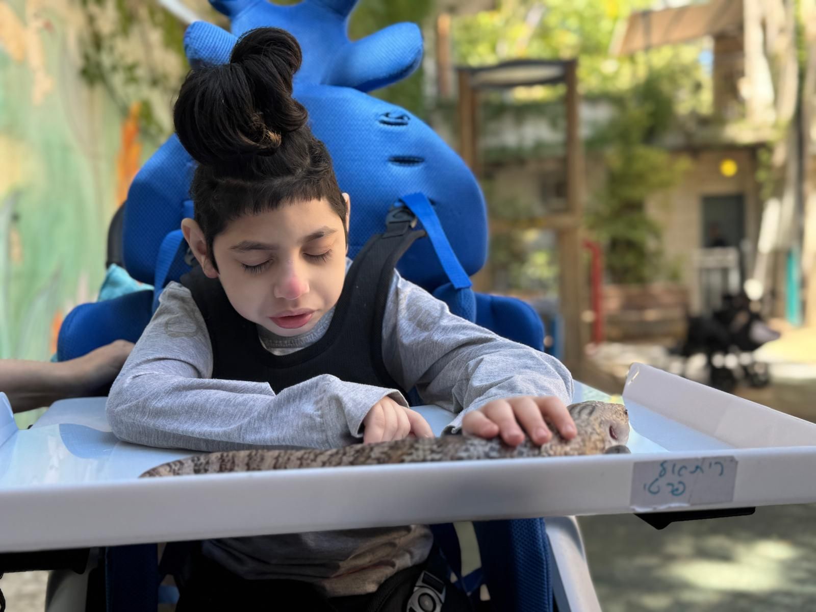 ממלכת החיות של אלי
