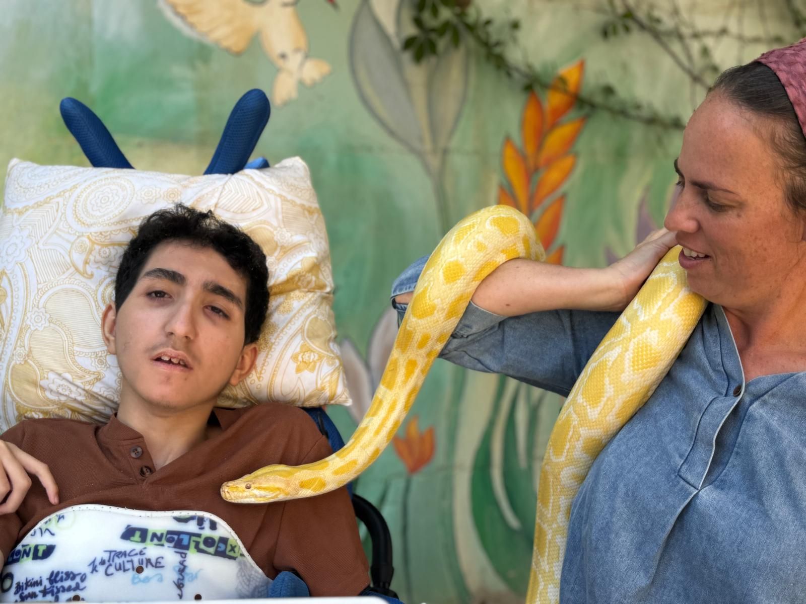 ממלכת החיות של אלי