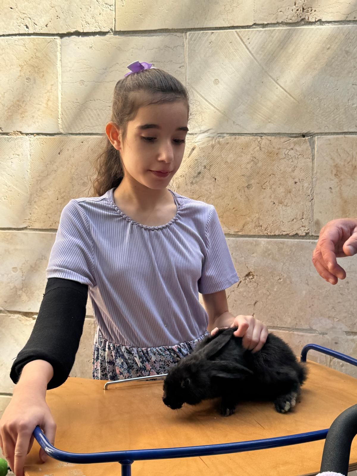 ממלכת החיות של אלי