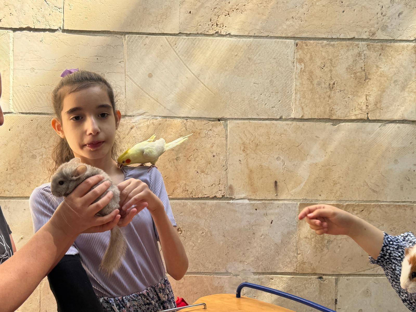 ממלכת החיות של אלי