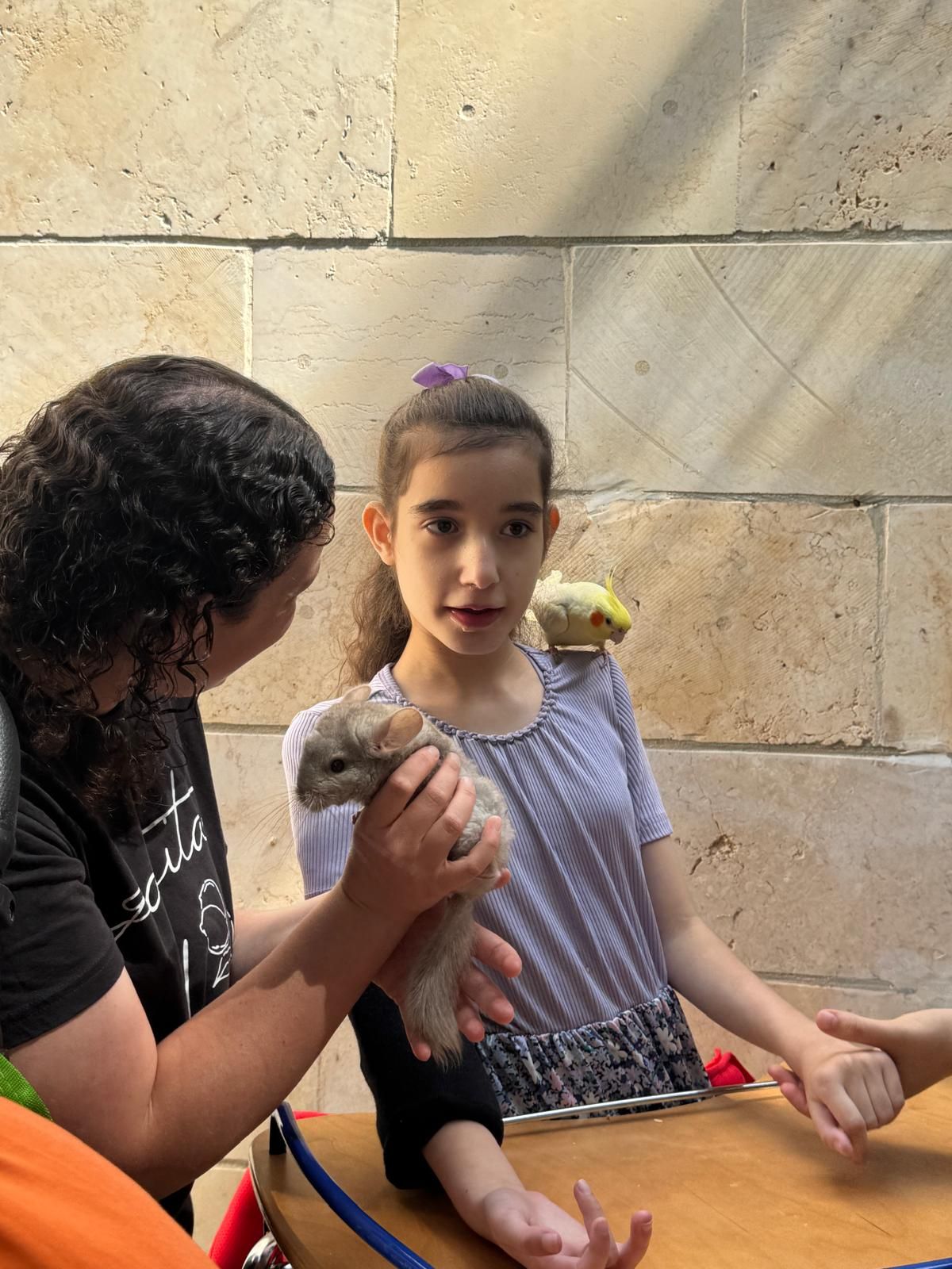 ממלכת החיות של אלי
