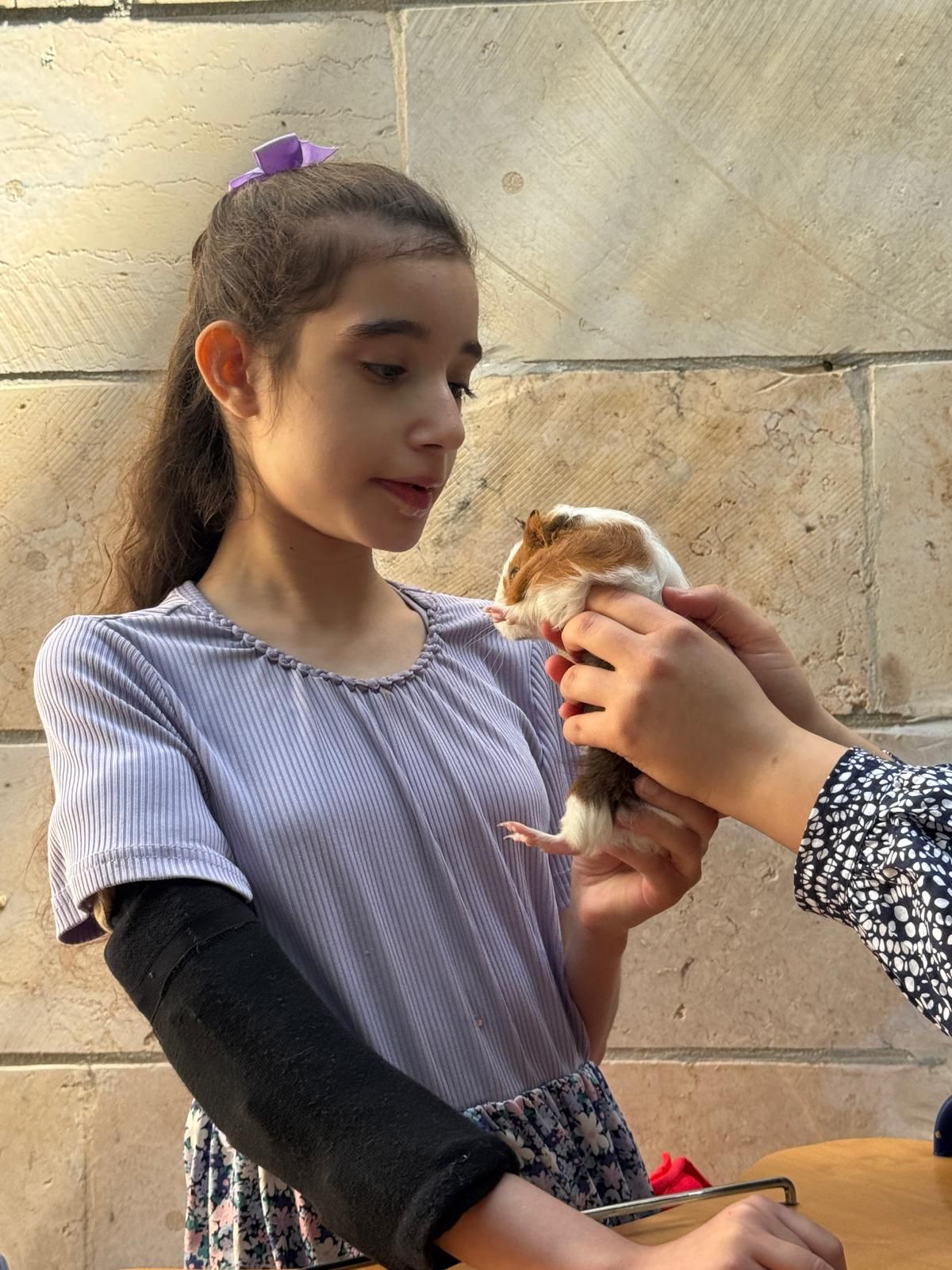 ממלכת החיות של אלי