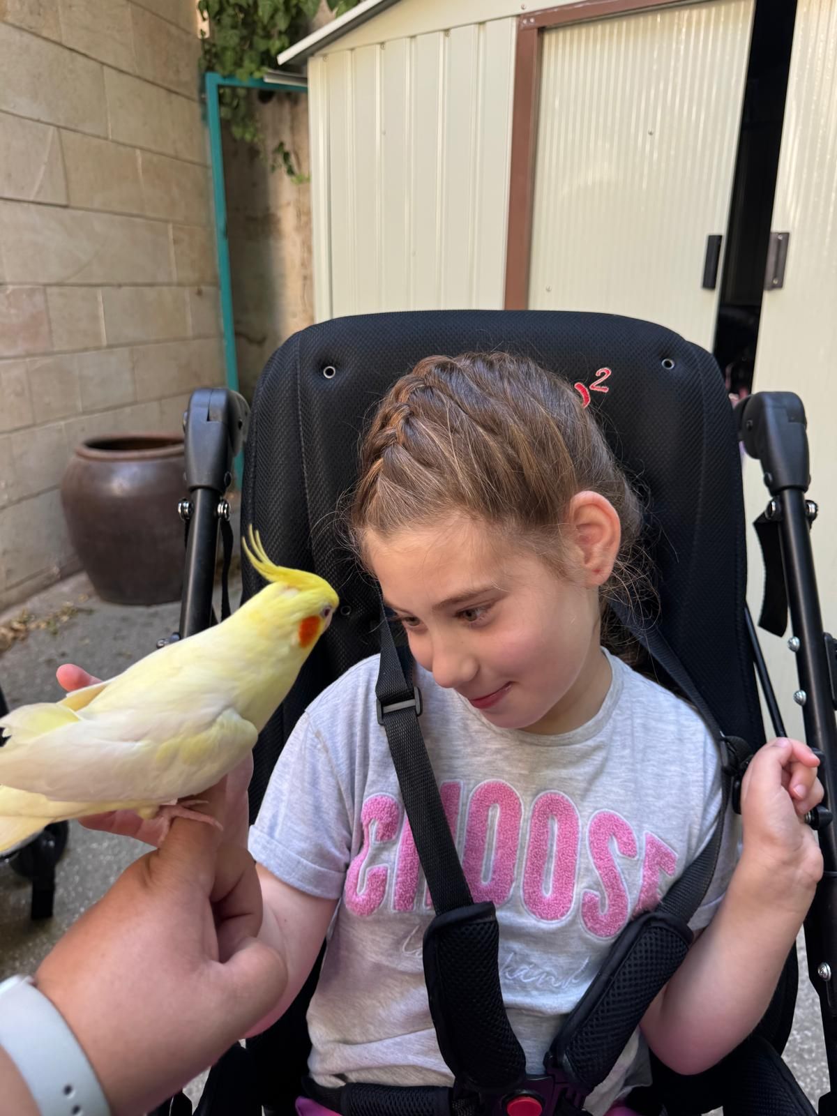 ממלכת החיות של אלי