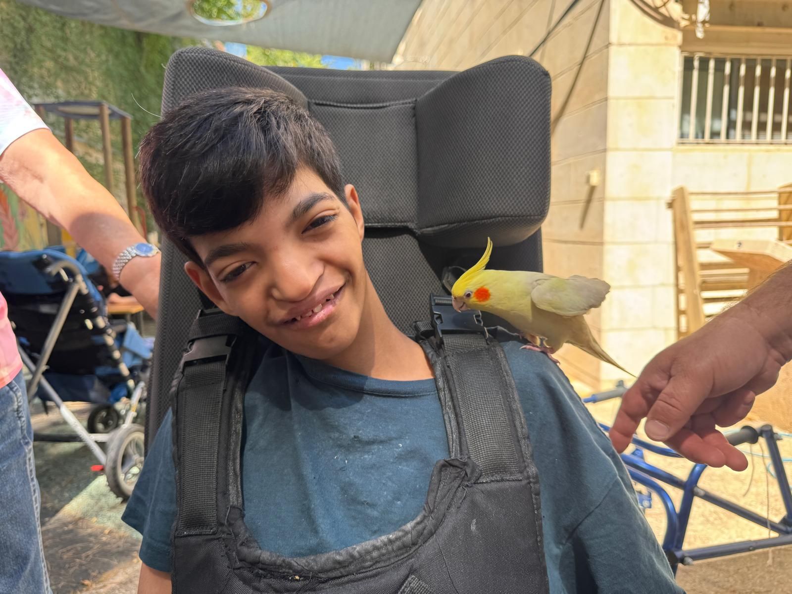 ממלכת החיות של אלי
