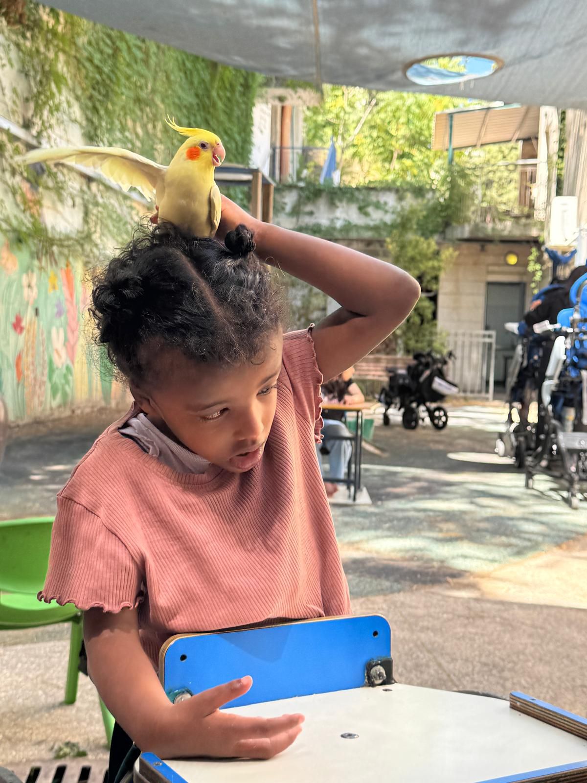 ממלכת החיות של אלי