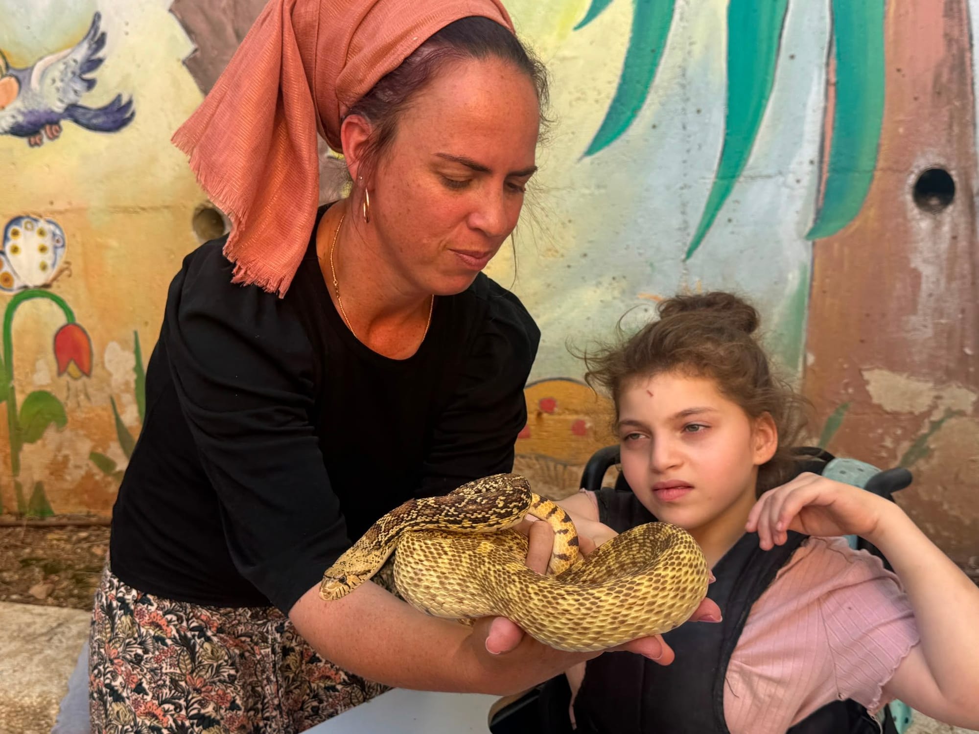 מופע החיות של שלמה