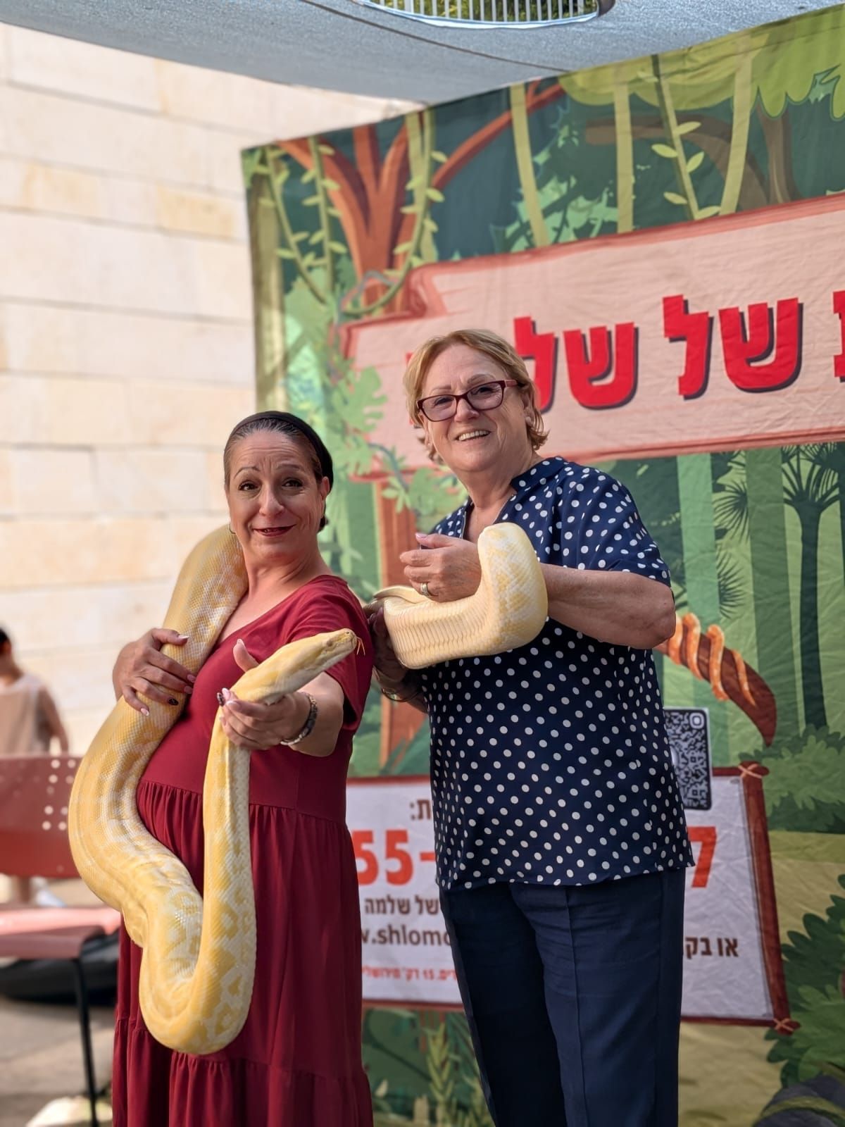 מופע החיות של שלמה