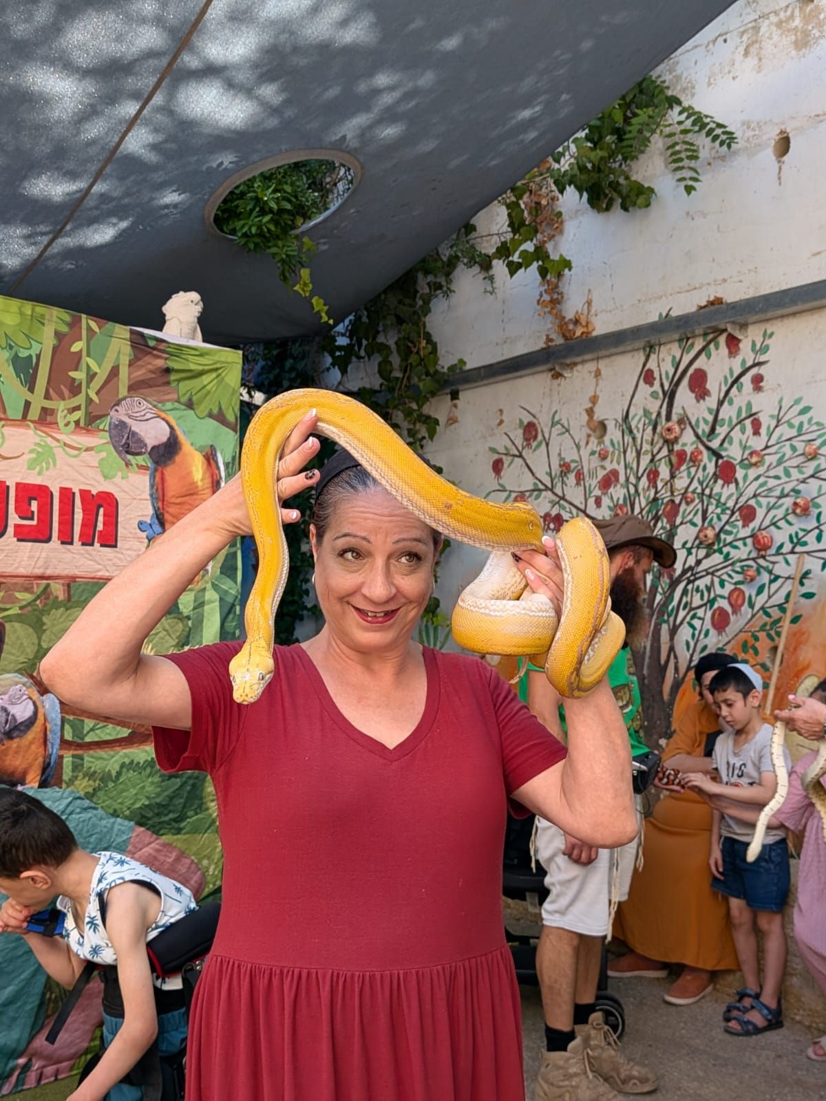מופע החיות של שלמה