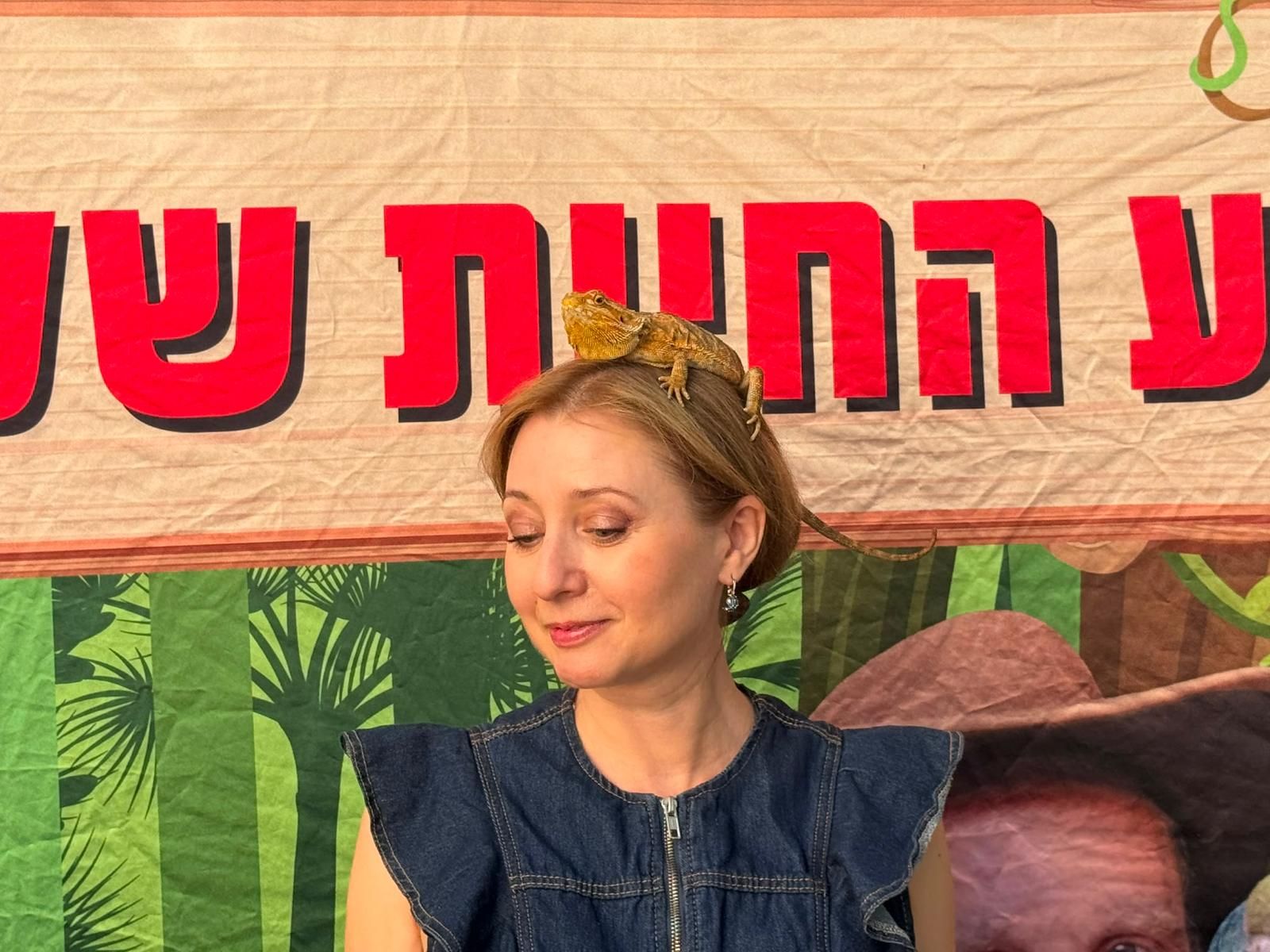 מופע החיות של שלמה