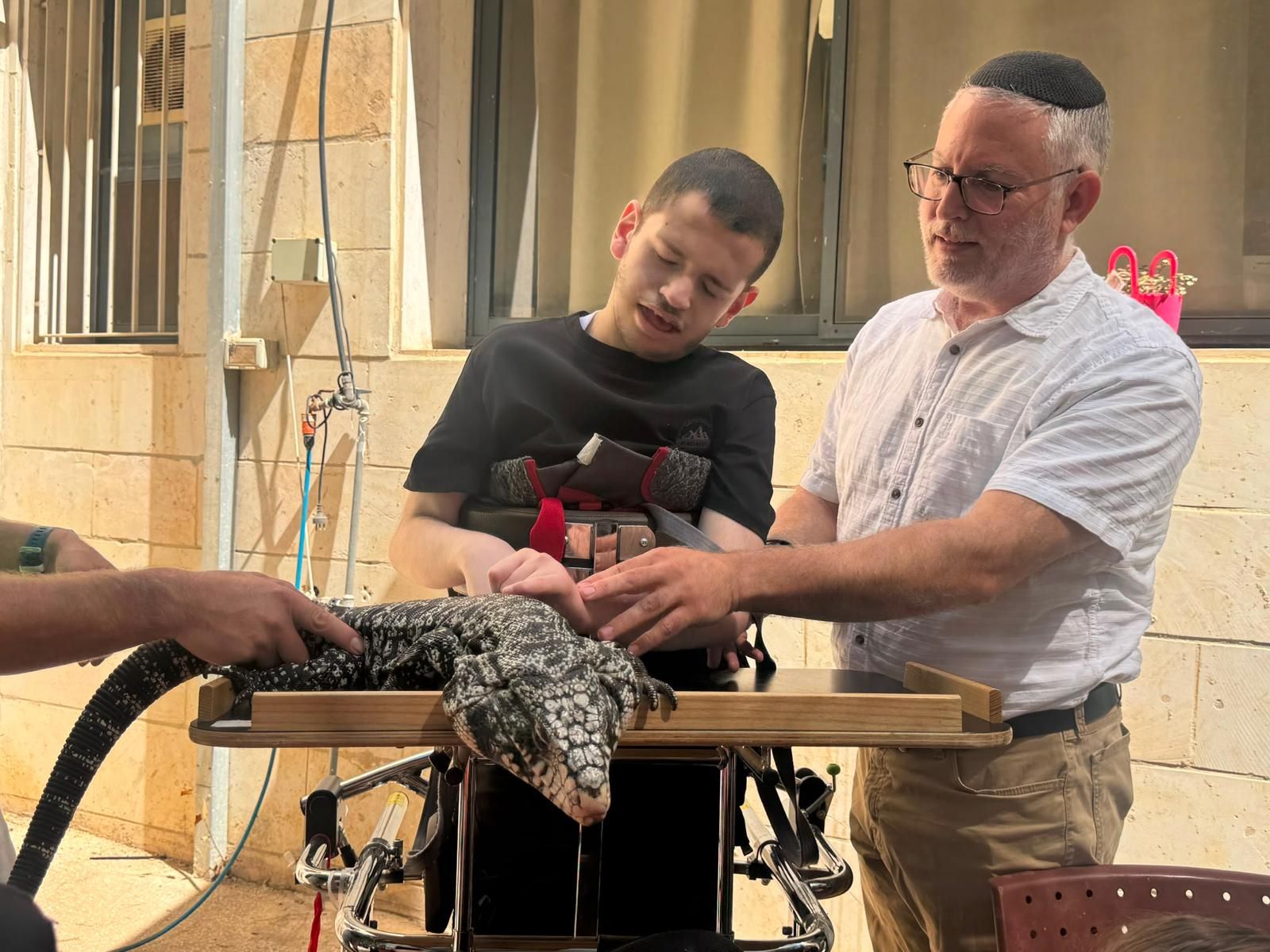 מופע החיות של שלמה