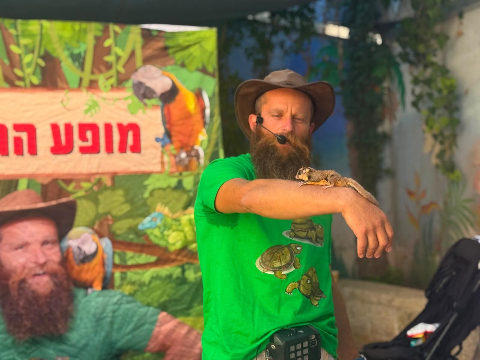 מופע החיות של שלמה